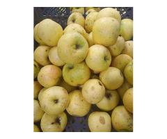 Вкусные домашние яблоки купить в Борисове Вкусные домашние яблоки купить в Борисове