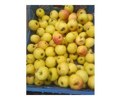Вкусные домашние яблоки купить в Борисове Вкусные домашние яблоки купить в Борисове
