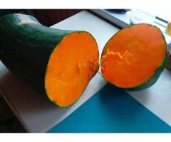 Вкусная Мускатная тыква купить в Борисове Вкусная Мускатная тыква купить в Борисове