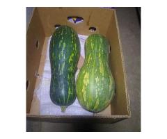 Вкусная Мускатная тыква купить в Борисове Вкусная Мускатная тыква купить в Борисове