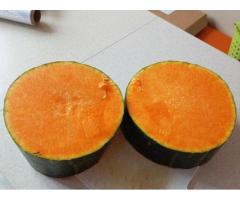 Вкусная Мускатная тыква купить в Борисове Вкусная Мускатная тыква купить в Борисове