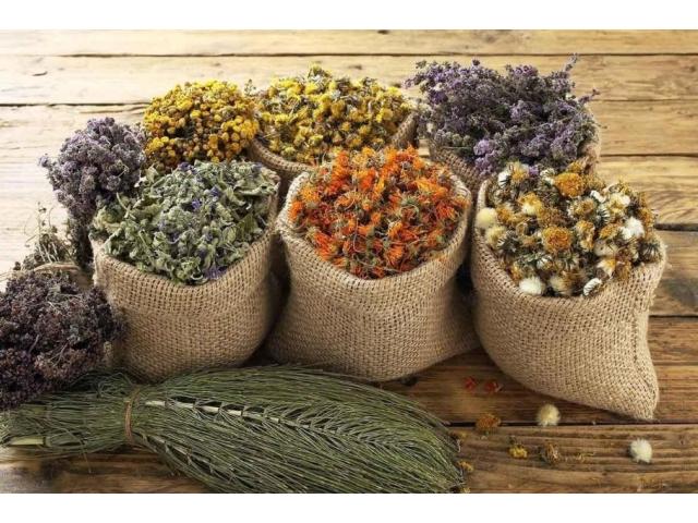 Чабрец (Тимьян), Душица (Орегано), Стевия в Борисове - 1/2