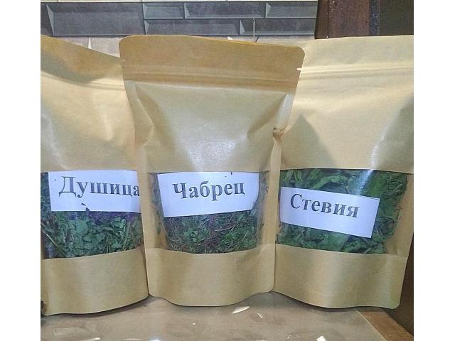 Чабрец (Тимьян), Душица (Орегано), Стевия в Борисове - 2/2